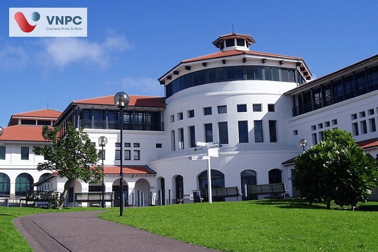 các trường 77King 78 trò chơi hấp dẫn ở new zealand